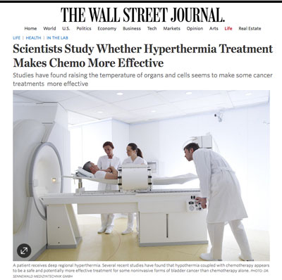 Wall Street Journal Article